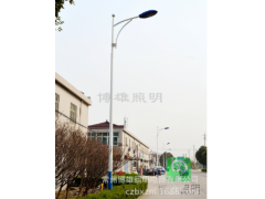 单臂道路灯杆厂区照明道路照明小区照明新农村建设自弯臂A字臂