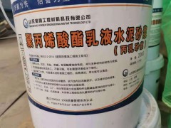 聚丙烯酸酯乳液水泥砂浆 丙乳砂浆 砂浆
