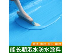 厂家直售水性游泳池鱼池防潮防水涂料蓄水池景观池防水漆材料批发