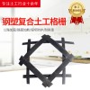 土工格栅生产厂家 路基稳固挡土墙公路格珊 单向双向钢塑土工格栅