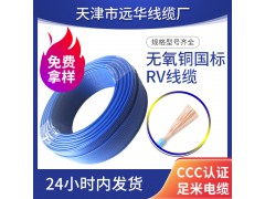 远华RV电子线0.12/0.2/0.3/0.5/0.75/1/2.5/4/6多 股单芯软线含税图1
