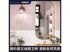 简约ins莫兰迪瓷砖卫生间浴室厕所墙砖300x600厨房内墙粉色釉面砖