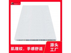 肌理纹铝蜂窝板客餐厅天花吊顶装饰材料多规格可选全屋集成吊顶