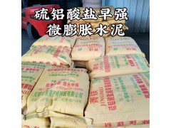 膨胀水泥 手孔封堵管片修补超早强快硬硫铝酸盐微膨胀水泥批发