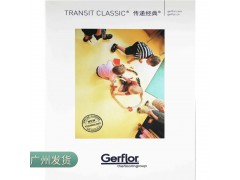 法国洁福洁弗乐pvc塑胶地板 传递经典柏莱灵动幼儿园地胶广州发货图1