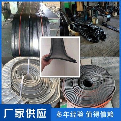 隧道桥梁背贴式止水条橡胶止水带中埋式遇水膨胀止水带钢边止水带