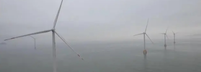 微信截图_20240611133611