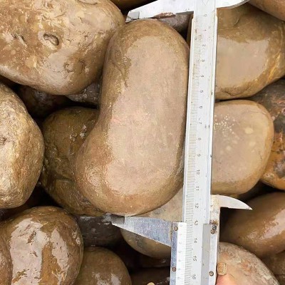 杂色鹅卵石 厂家工程铺路园林景观河滩石污水处理滤料石头