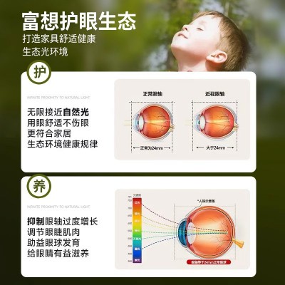 新中式客厅灯简约长方形大厅灯全光谱中式护眼灯胡桃木实木吸顶灯图3