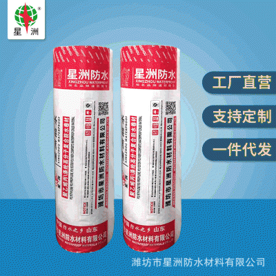 聚乙烯丙涤纶高分子防水卷材300克国标丙纶防水材料布高分子材料