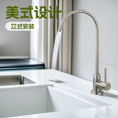 304不锈钢净水龙头过滤直饮水纯净水器水龙头欧式增压净水器家用